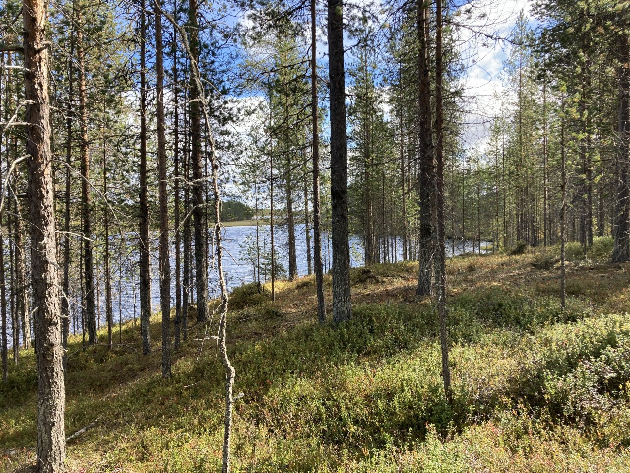 Rantatontti / Lake shore plot Posio Uuperänniemi 53 - LKV Rantamökki Oy